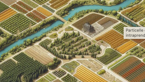 Particelle catastali indivise: quali azioni intraprendere?