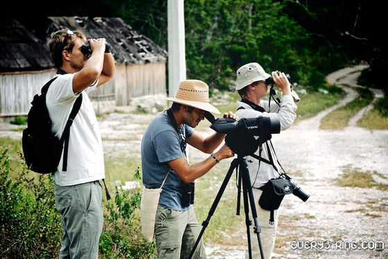 Birdwatching Amar aves 