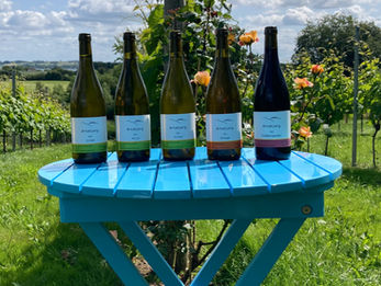 Ærtebjerg Vin