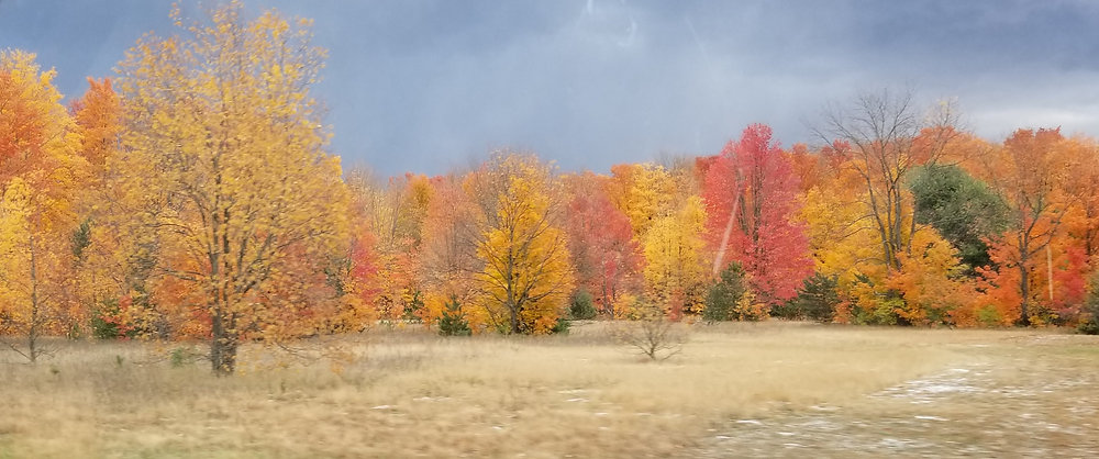 Waved Fall Autumn Waves