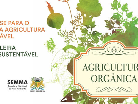 IV ReuniĆ£o Sul Brasileira sobre Agricultura SustentĆ”vel