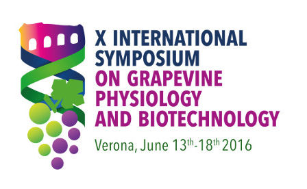 X International Symposium on Grapevine Phisiology and Biotechnology