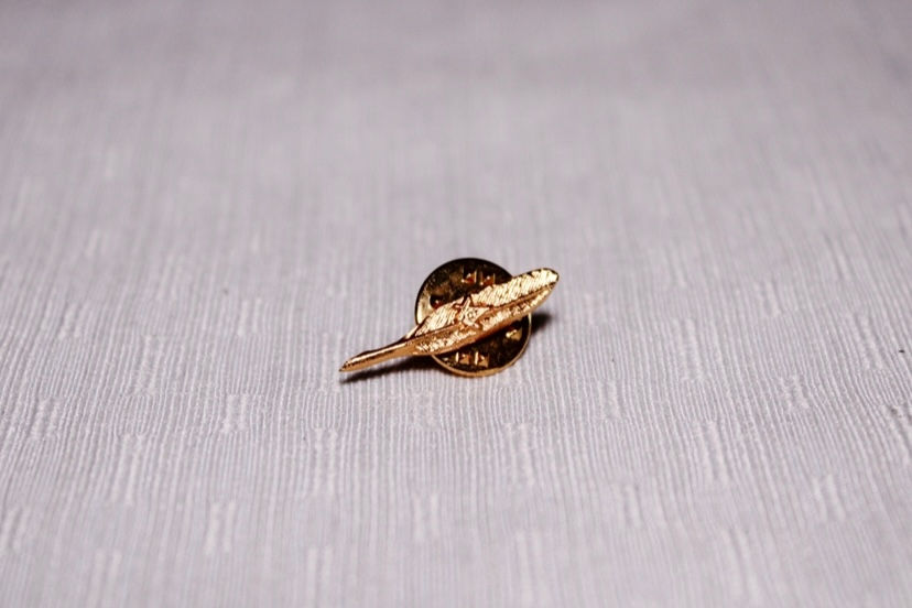 Miniatura: Pin Cargos 