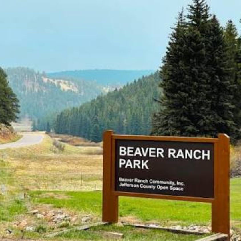 Meadow Yoga at Beaver Ranch Park