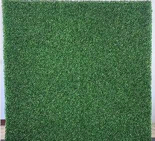 Screen Shot 2023-01-15 at 8.29.33 PM.png