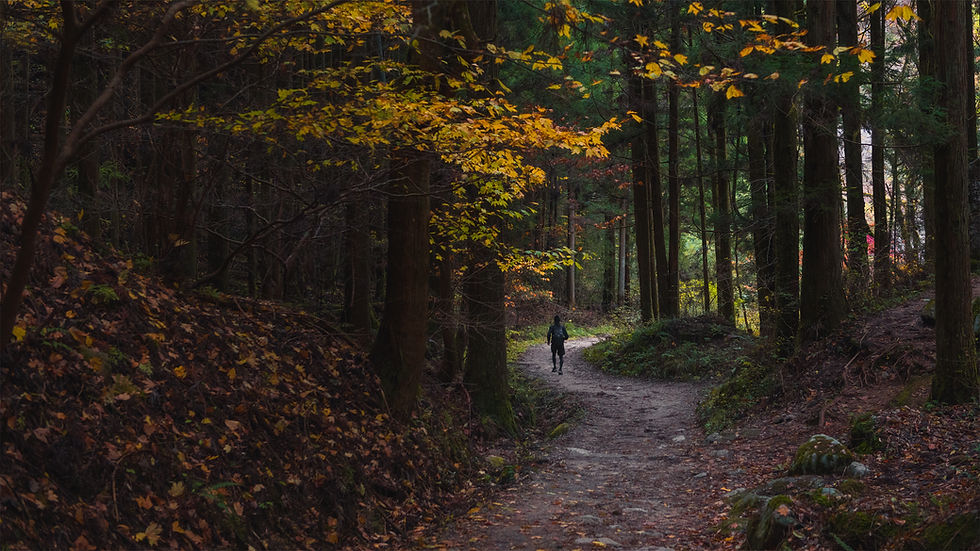 AutumnJogSmaller.jpg