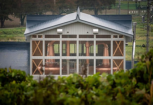 Copy of Kiyokawa_Iiyama_LR-14(1).jpg