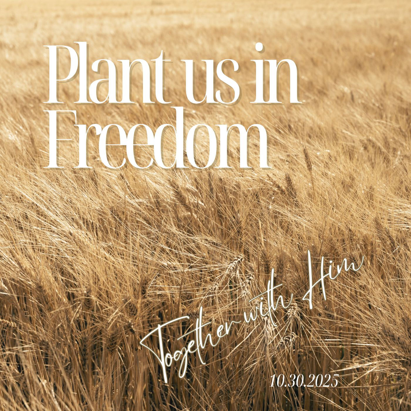 Plant Us in Freedom