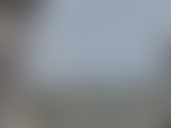 "Desabamento de ponte sobre o rio Tocantins deixa uma vítima fatal"