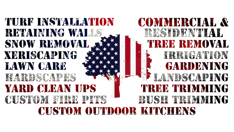 OUR SERVICES FOR WEBSITE-1 RED WHITE BLUE_edited