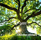 arbre de vie