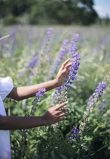 Woman in field touching hand on a flower.