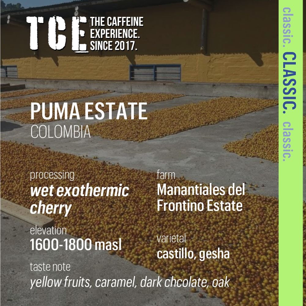 Colombia Puma Estate