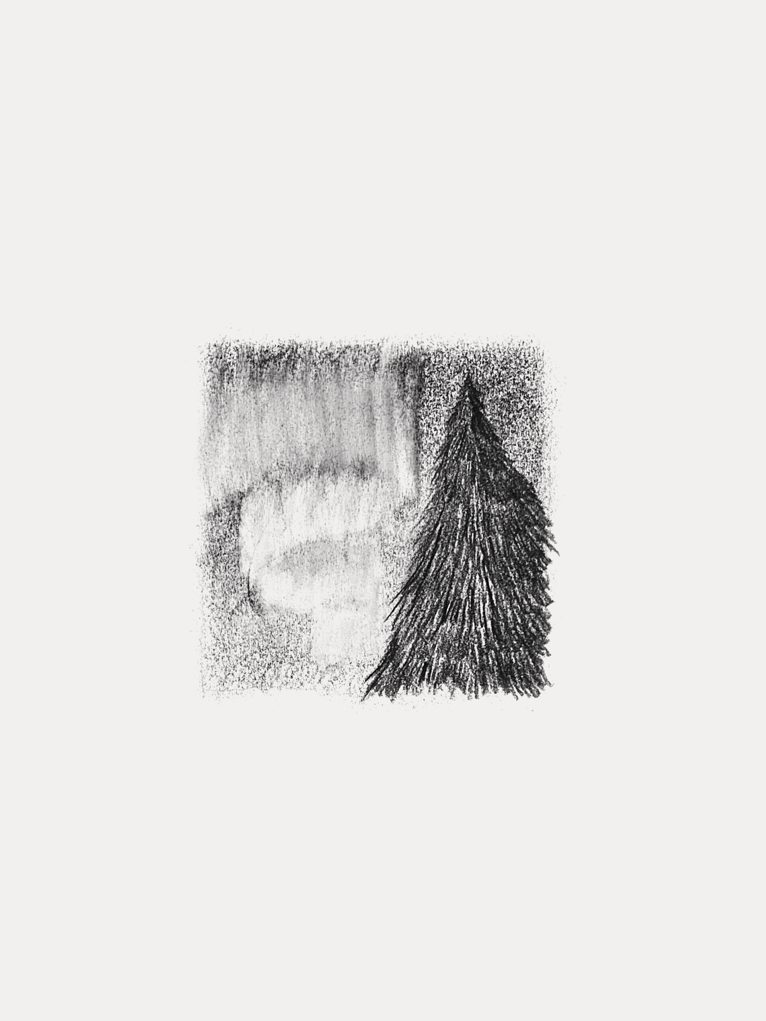 Northern-Lights_Grey.gif