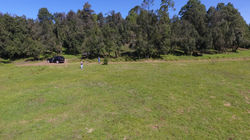Delicias - 25
