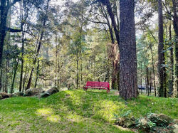 Jardin 3