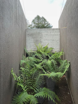 patio 2