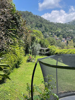 Jardin 3