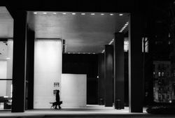 Walking Mies. NY