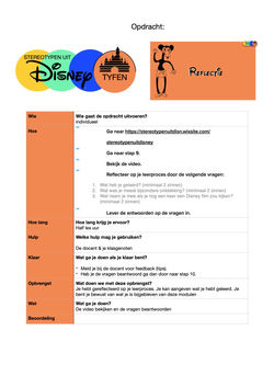Stereotypenuitdisneytyfen 9 Reflectie