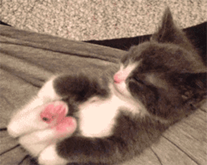 gfdg0.gif