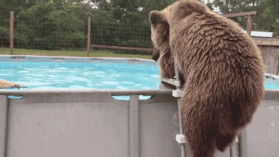ttrg.gif