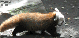 gy876j.gif
