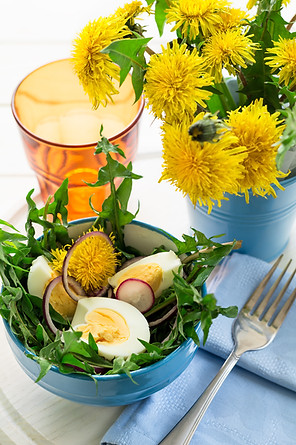 Fresh green dandelion salad on blue bowl.jpg