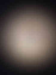 IMG_7442.jpeg