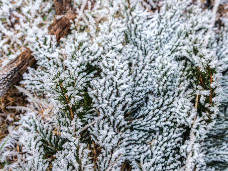 Wissen was wir haben