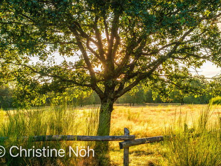 Licht und Schatten