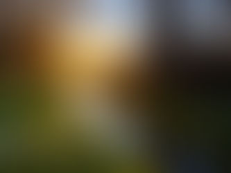 Alle Länder dieser Erde