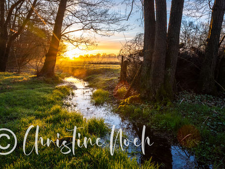 Alle Länder dieser Erde