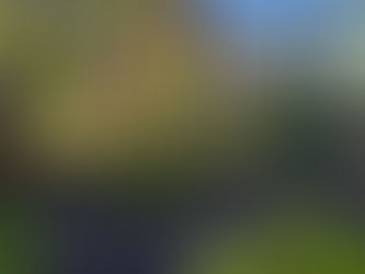 Alles Neu macht der April