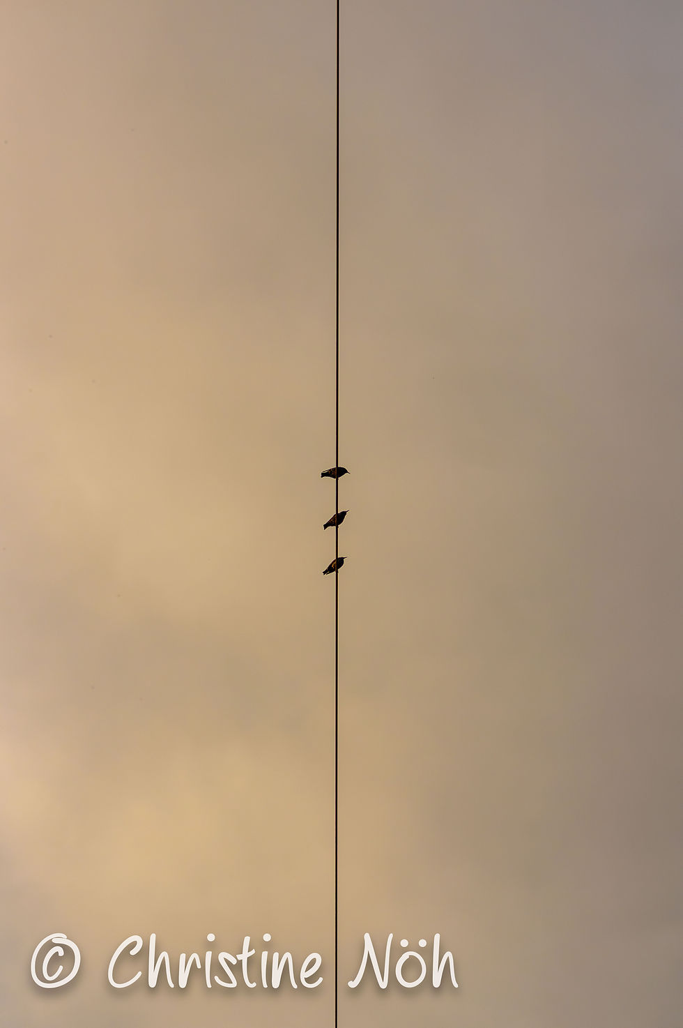 Der Raum dazwischen