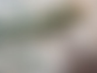 Never confess, never apologize