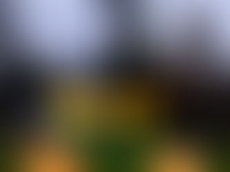 Leuchtende Schönheiten