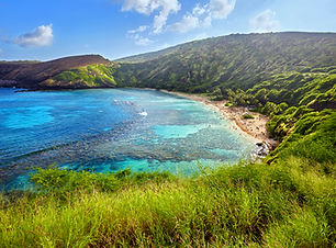 aerial-view-hanauma-bay-oahu-hawaii.jpg