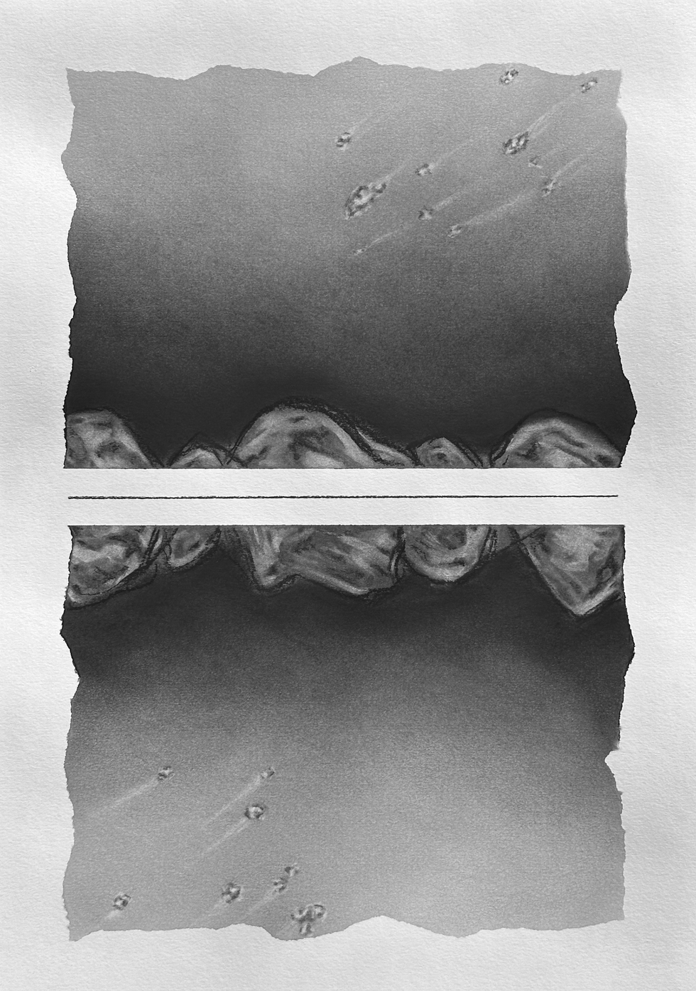 The Mirror of Consciousness