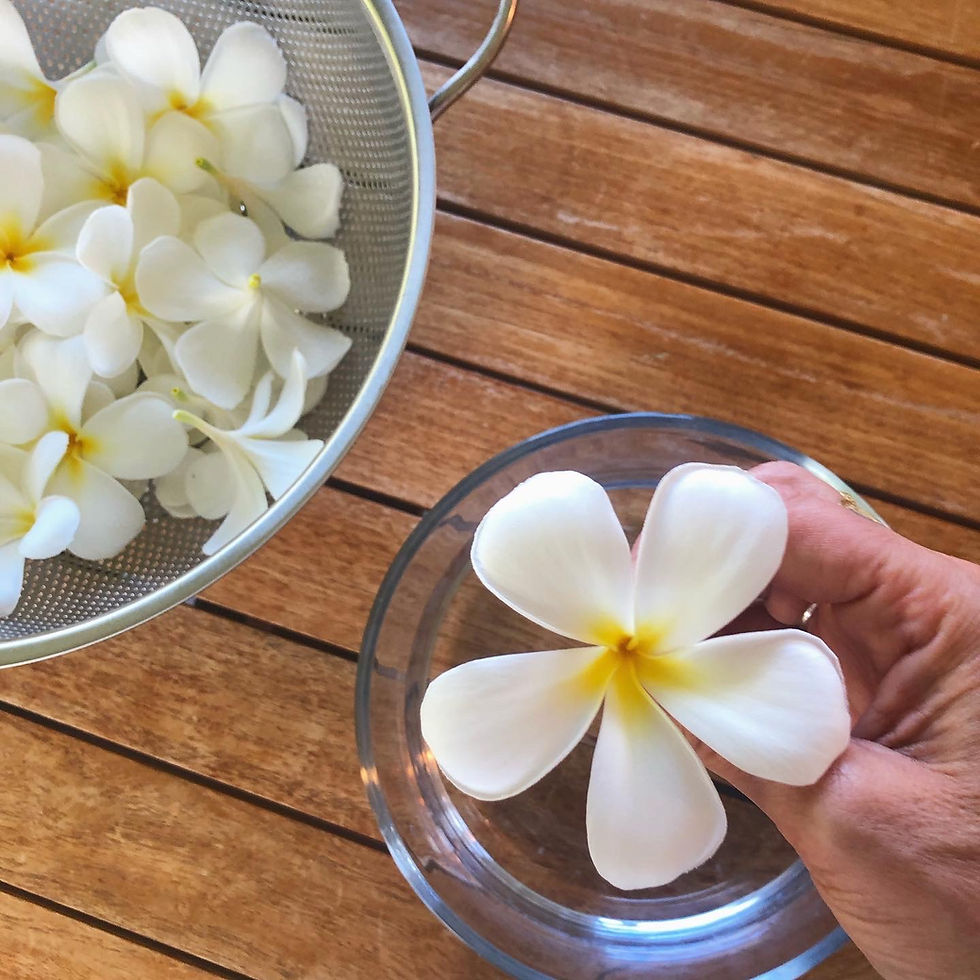 Thumbnail: PLUMERIA PONO Flower Essence