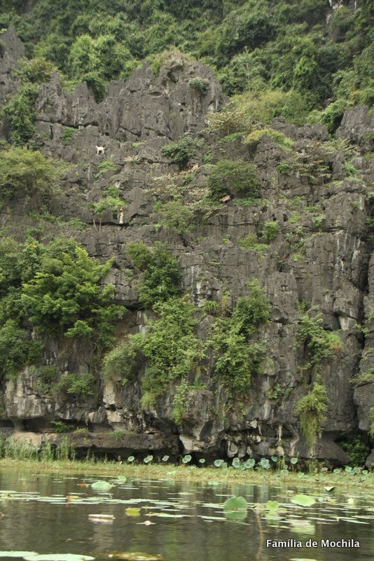 Tam Coc|Vietnam|Sudeste Ásia