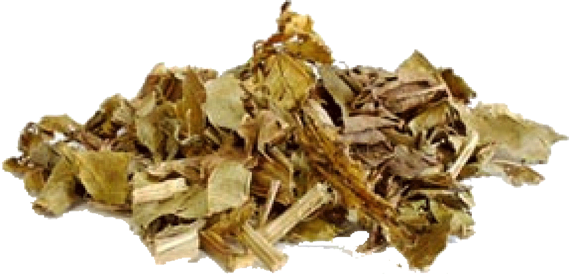 Chapéu de Couro