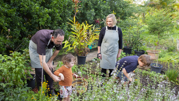 The Flackyard - Herb Garden