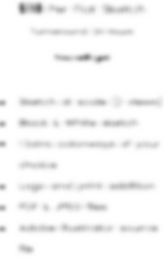 Asset 20.png