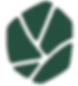 Carbon Tide new logo transparent background.png