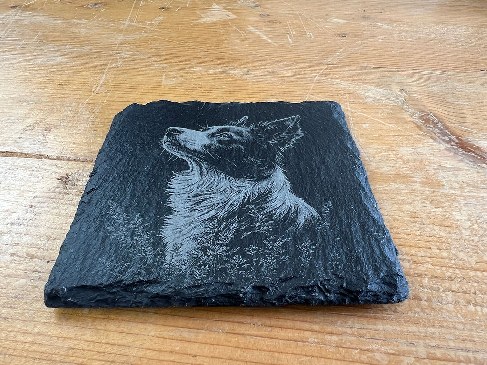 Thumbnail: Border Collie Hunting  Engraved Slate Drinks Coaster