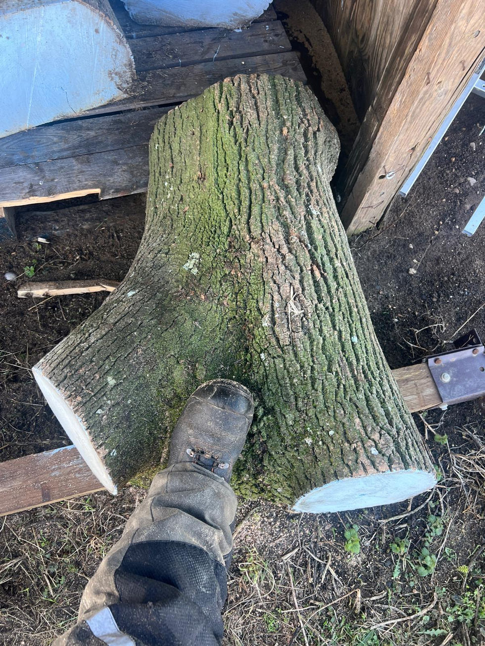 WhatsApp Image 2026-03-18 at 09.09.50