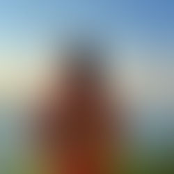 STARTING A NEW CHAPTER, EMBRACING NEW HORIZONS