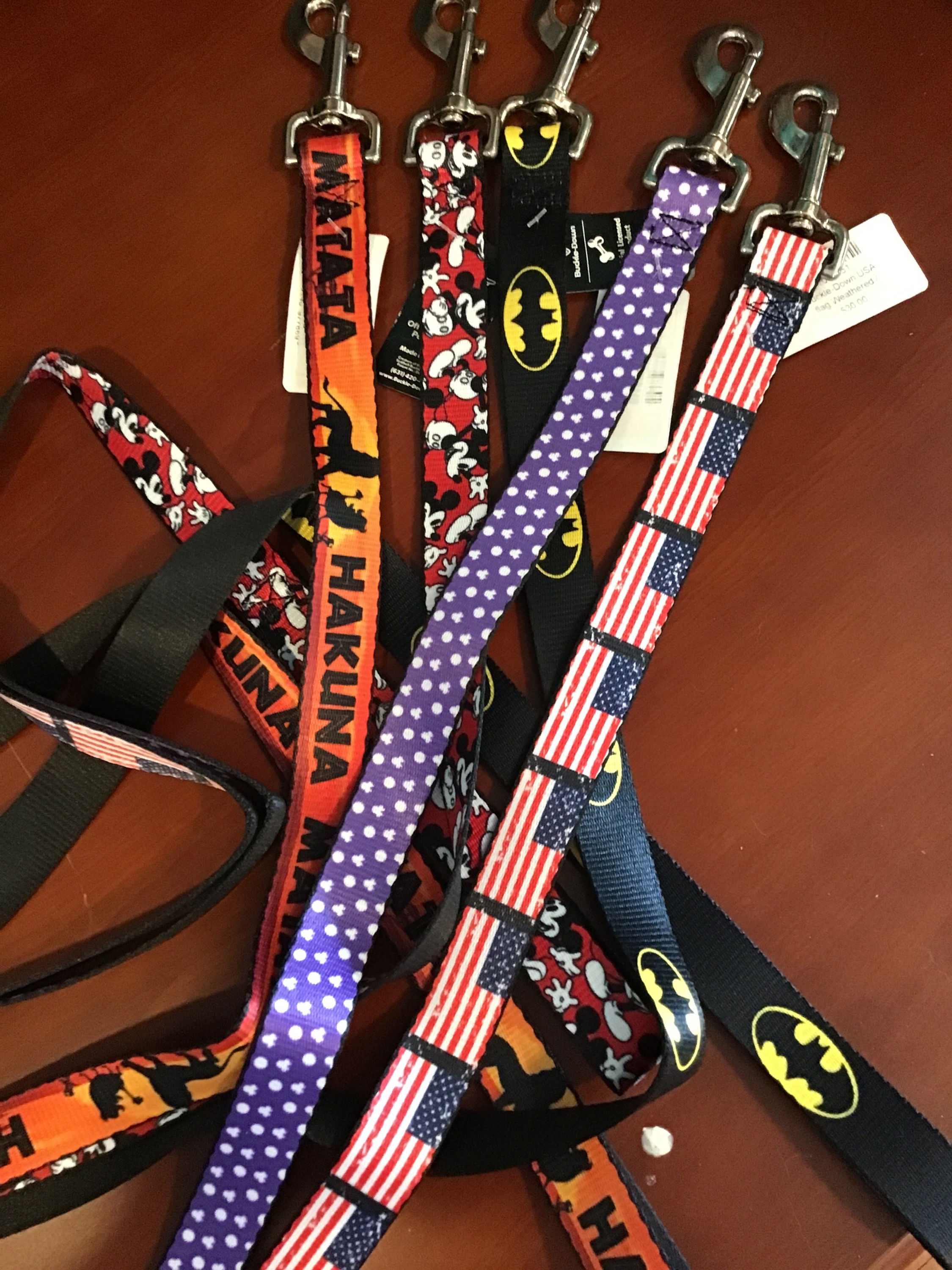Buckle-Down Official  Licensed pet Leash 4 ft