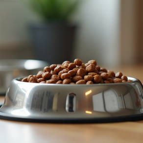 Essential Pet Supplies Every Owner Needs